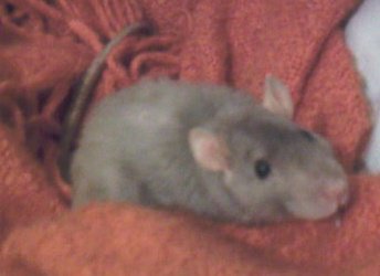 emcfluff1982's profile picture. 