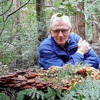 Geerling Kruidhof (@geerlingkruidho) 's Twitter Profile