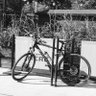 Robert23072508's profile picture. "The problem with the world is that the intelligent people are full of doubts, while the stupid ones are full of confidence."

- -  Charles Bukowski
🇵🇱🇪🇺🚴