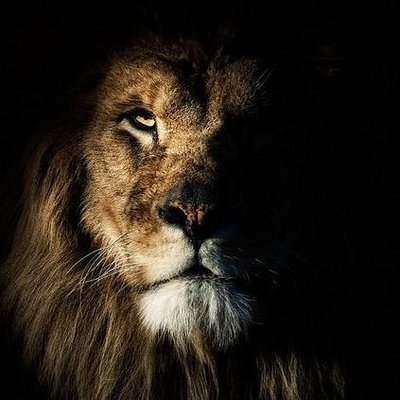 rslatour's profile picture. 