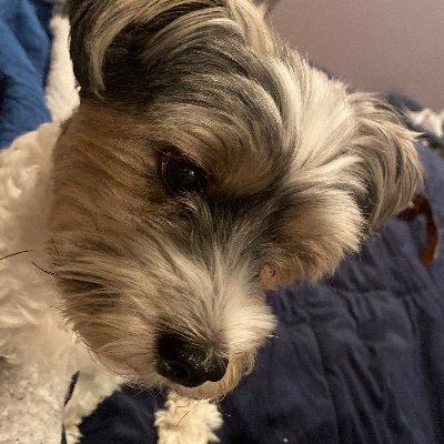 Itwasalladrea12's profile picture. Hard worker love my family everything else is irrelevant 😩