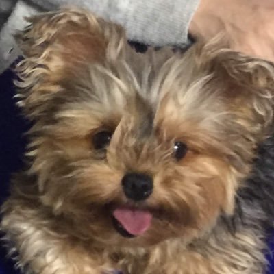 amelie_azeri's profile picture. つまらなくて鬱陶しくてめんどくさい八方美人の真面目系クズ。嫌われてることを常に忘れないように気をつけますが、不快に思われましたら即ブロックお願いします。自分の存在を消したい。TEAM NACS、のと⭐︎えれき、能登英輔、小林エレキ、爪切りキャス、つめんちゅ、札幌演劇、とくお組、お芝居、吹奏楽、フルート