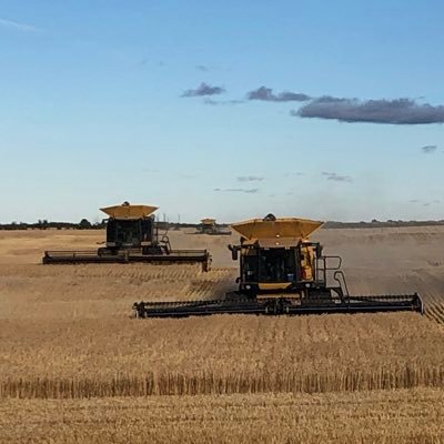 rolla55lcc's profile picture. Phase 2... we goin farming!! Best wife and 3 kids on the market. Phase 1 was horseshoeing, fertilizer and cows... Phase 3-4 gold mining and outfitting???