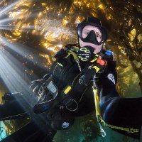 Kate Vylet (@katevylet) 's Twitter Profile Photo