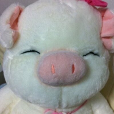 あびたん Momoabi Twitter あびたん Momoabi Twitter