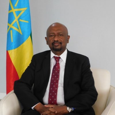Ambassador Extraordinary & Plenipotentiary to the USA; Chief Negotiator & Advisor on Transboundary Rivers and GERD of Federal Democratic Republic of Ethiopia