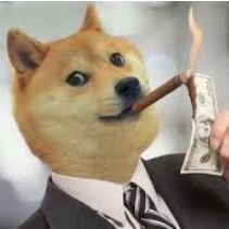 dogecoin