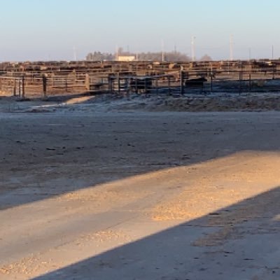 ButlerFarms94's profile picture. farmer, basketball, yotie hunting, chasing my 3 daughters across multiple sports, vol. fire fighter, and married up