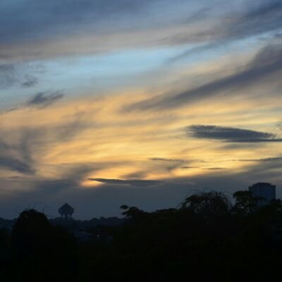 Darylpui1's profile picture. Volleyball Chicken😎😚