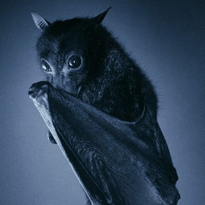Enkinさんのプロフィール画像