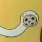 디트さんのプロフィール画像