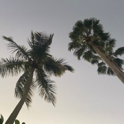 DannieMarieee's profile picture. 