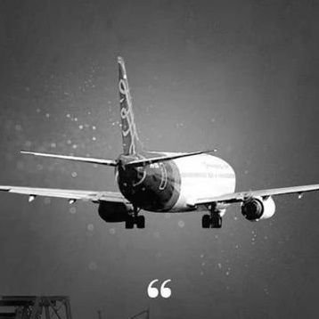 Mnf92849931's profile picture. ‏من؟