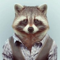raccoon(@brenissimo) 's Twitter Profile Photo
