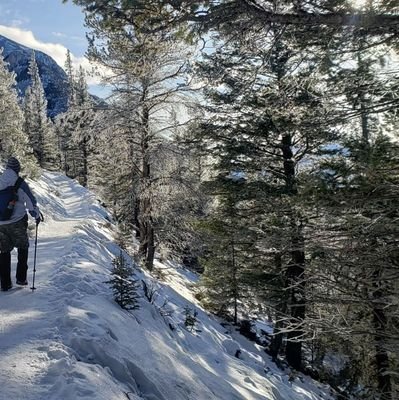 alfahotelmike's profile picture. 📍🌏 Galatasaray 🦁