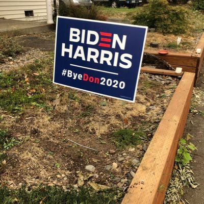 Michael59015906's profile picture. Thinker and doer who loves science.