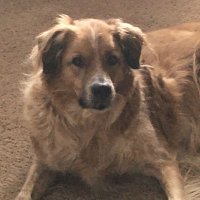Edward Marrs (@marrs_edward) 's Twitter Profile Photo Edward Marrs (@marrs_edward) 's Twitter Profile Photo
