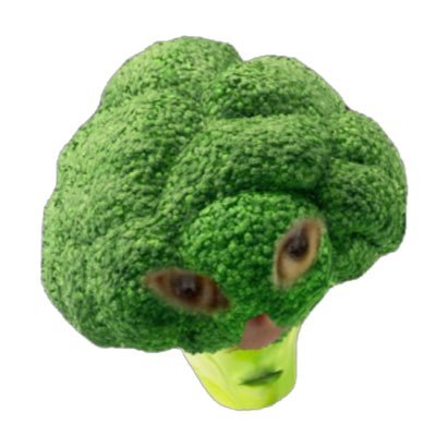 Broccoli Catさんのプロフィール画像