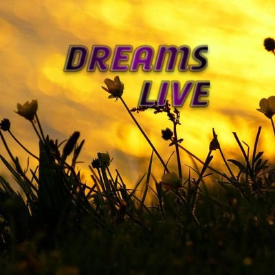 I would like to post Trending Updates video, I am a beginner YouTuber..