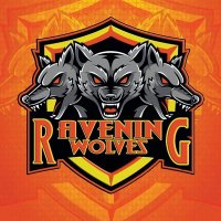 RaveningWolves FC (@raveningwolvesg) 's Twitter Profile