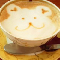 sa♬ (@amnos___sora) 's Twitter Profile