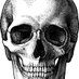 🦇 Dead Tired 🦇 (@midnightmausol1) Twitter profile photo 🦇 Dead Tired 🦇 (@midnightmausol1) Twitter profile photo