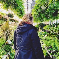 Kate McClellan (@kateamcclellan) 's Twitter Profile
