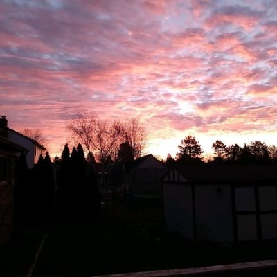 Q__Jill__Q's profile picture. 