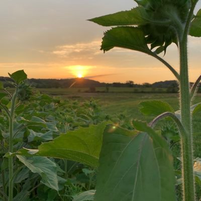 RhondaSnyder66's profile picture. 