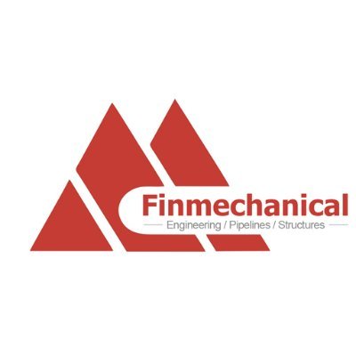 Visit Finmechanical Profile