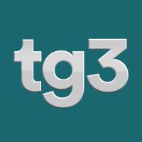 Tg3(@Tg3web) 's Twitter Profileg