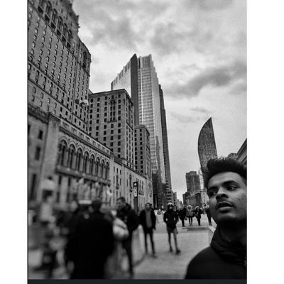 CuriousWalt's profile picture. Billionaire by thoughts