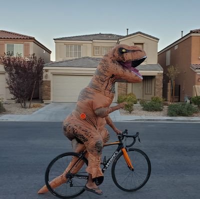 noecoolnoecool's profile picture. 