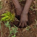 Samuel Peace - @sampeace08 - Twitter