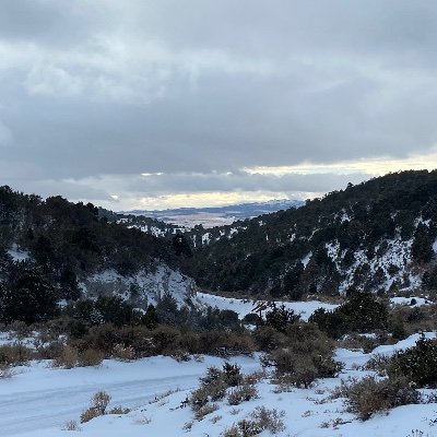 2021Domino's profile picture. 