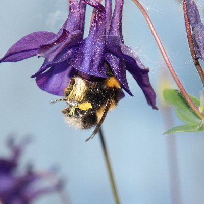 Nature photo greetings cards and other items. Based in Powys, Mid Wales