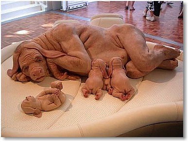 TimmytheTimTim's profile picture. 