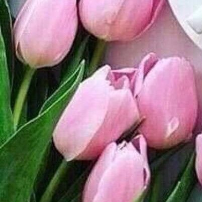 CH58694812's profile picture. ...