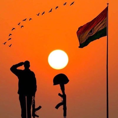 kashifbesschool's profile picture. 🇮🇳INDIAN Family Friends Cats Brando Pacino Heath Ledger Batman Joker Pink Floyd Marvel DC Europe Wild Life