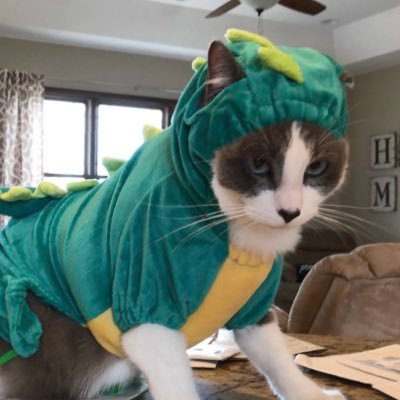 LaurenLe3's profile picture. 