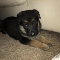 Cryptologic Thinker (@chuckchump) 's Twitter Profile