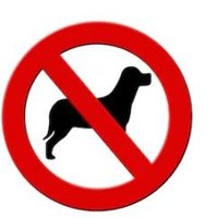IHateDogs (@ihatedogs10) 's Twitter Profile