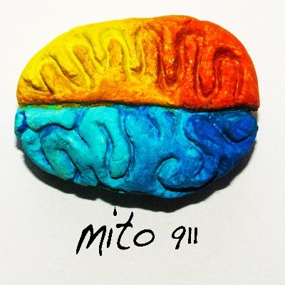 We're @ASAP_Research @mito911_ @TheHurleyLab @ErikaHolzbaur @HummerLab @LazarouLab @martens_sascha @EParklab on #mitophagy in #brain.Tweets by PM @DoroteaArt