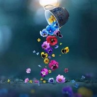 رائدة القاسم (@raedahqasem) Twitter profile photo
