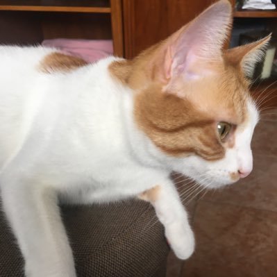 aquaaritta's profile picture. nope