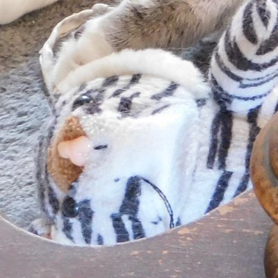 political_pondr's profile picture. The intersectionality of art, politics and history, with out the lens of the simulacra. Sticky Wickets intrigue me. Just breath. I rt a lot of art