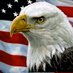 We The People News (@wtpnews76) Twitter profile photo We The People News (@wtpnews76) Twitter profile photo