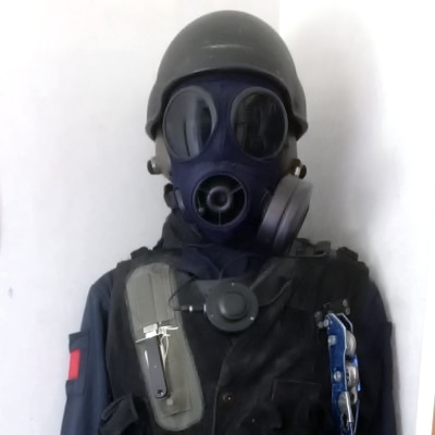 dolomedesminor2's profile picture. SAS Black Kit Research