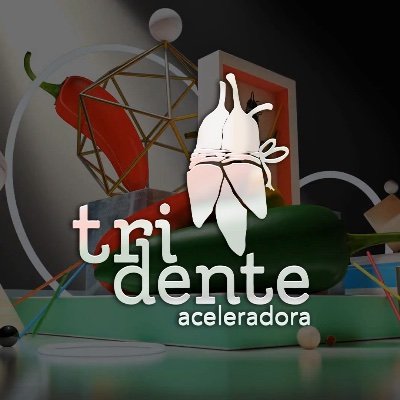 Somos #TridenteAceleradora.
Ayudamos a empresas que han demostrado éxito y continuidad, a dar soluciones a sus distintas problemáticas de mercado.