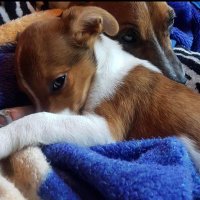 Joseph (@justjoseph30) 's Twitter Profile Photo